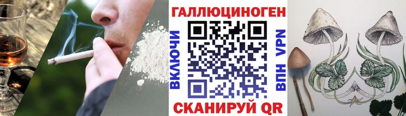 Псилоцибиновые грибы GOLDEN TEACHER  как найти   Кашин 