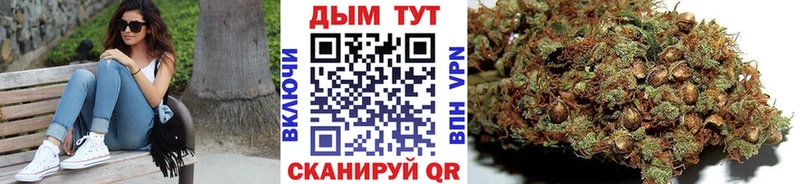 Шишки марихуана индика  где найти наркотики  Кашин 