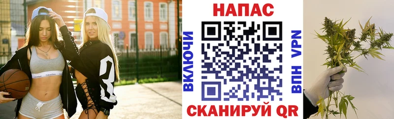 Бошки Шишки ГИДРОПОН Кашин