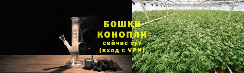 Конопля White Widow  наркошоп  Кашин 